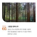[🐶프렌즈 패널😸] 꿀잠베드 | 온열･쿨베드 추천⭐️ | 강아지･고양이 | 구매링크(O)