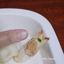 삼일농산