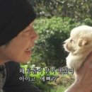 위로 이미지