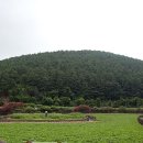 저지오름 이미지