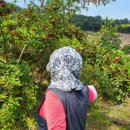 이유호 농장 이미지