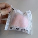 순떠기 - 41564 | 순떠기