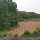 당하1리 이미지