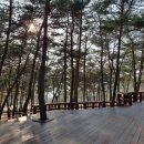 구례소나무정원 이미지
