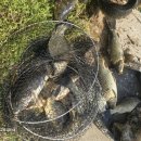 오목낚시터(신창낚시터) 이미지