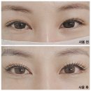 와우살롱 네이버블로그
