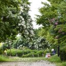 삼산교통공원 이미지