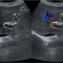 소문난내과의원 이미지