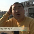 민지농장 이미지