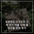 나에게 주는 선물 수제도장 만들기 | 달빛새김 인감도장 수제 아기 커플 단체 졸업선물 추천 후기