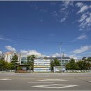 늠내길 1코스 숲길 이미지