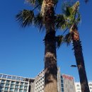 호텔 치유 이미지