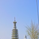 대은사