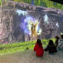 또래어린이집 이미지