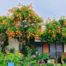 행복동구건강생활지원센터 이미지