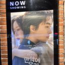 우리들 화정점 | [화정CGV] 만약에 우리 눈물주의 멜로 영화 관람후기