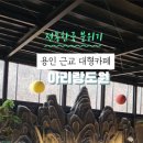 용인 근교 대형카페 전통한국 문화 아리랑도원 내돈내산 솔직후기