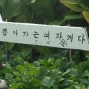 뽀바뽀바 이미지