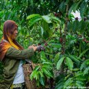 (주)한화글로벌 노동조합 이미지