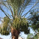 마라의샘 이미지