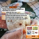 (야간)치유요가 이미지