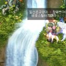 힐신은고양이