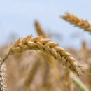 개포1동주민센터 이미지