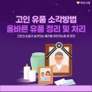 고인 유품 소각방법 올바른 유품 정리 및 처리 방법 이미지