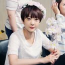 서형