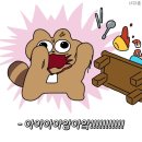 여수봄날엔