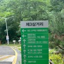춘천 펜션 집다리골자연휴양림 회화나무 숙박 후기