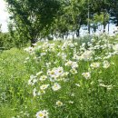 위례강변길 이미지