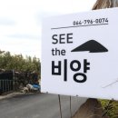 씨더비양
