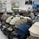 바스앤하우스 | 베이비하우스 창원점 출산용품 내돈내산 구매 후기(아기띠, 젖병, 타이니러브 모빌 등) 온누리, 창원...