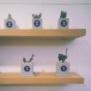 씨끌드로
