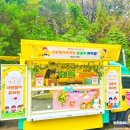 내원정사유치원 이미지