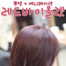헤어의 봄