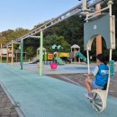 구갈레스피아 이미지