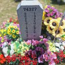 (2026년4월26일) 심정민 공군소령 / 김창선 해병일병(147-8회) 이미지