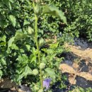 향교로R 이미지