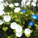 기적 행정사 사무소 이미지