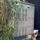 연강농장 이미지