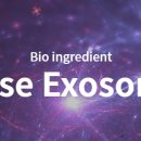 에스테틱바이오주식회사 이미지