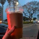 메종 드 마농 이미지