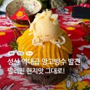 감탄 성산점 | 제주 동쪽 가볼만한곳 망고데이｜인생 망고빙수를 만난 성산 디저트 카페