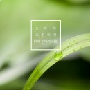 고고한의원 이미지