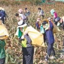 동아농축산 이미지