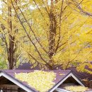 하늘아래첫동네 이미지