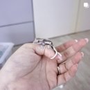 크레넬제이파충류샵
