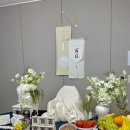 온아 | 포항 백일잔치 준비 백일상 온아데이 예약 후기 내돈 내산